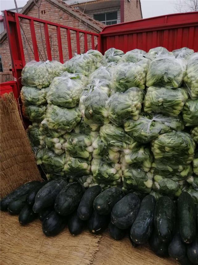 河南沈丘：5吨“爱心蔬菜”直达武汉