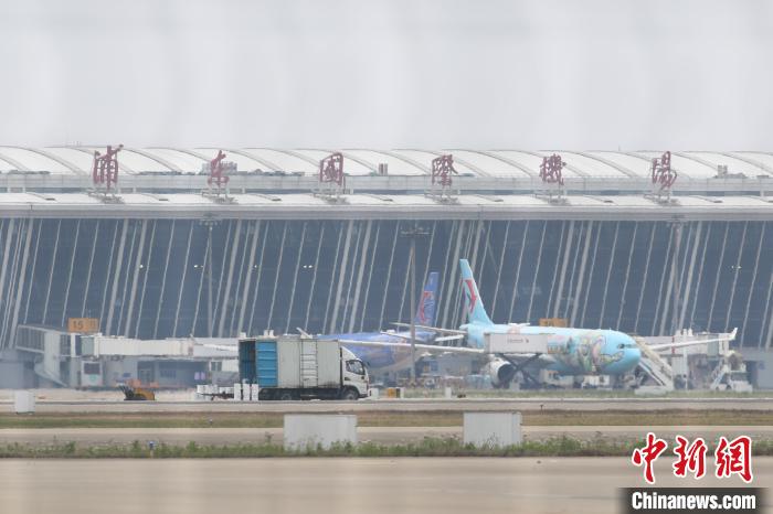 全球防疫物资需求增量 上海浦东机场日均货运航班超200架次