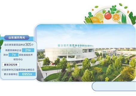 蔬菜之乡有了“中国芯”——来自山东潍坊寿光市的调查