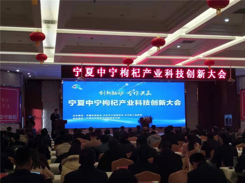 宁夏中宁举办枸杞产业科技创新大会