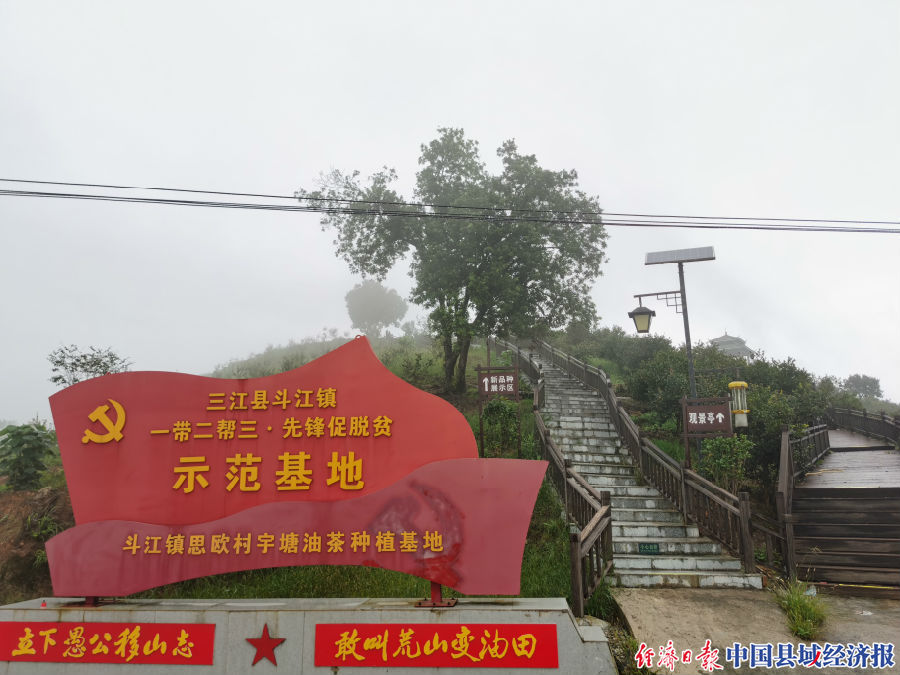 农发行柳州分行积极支持三江侗族自治县油茶林改造，助力当地脱贫攻坚