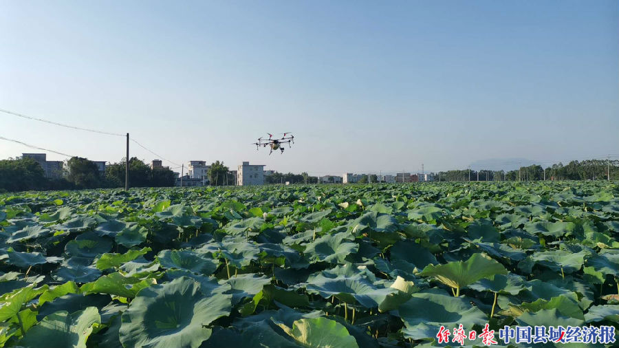 无人机在基地上空喷药
