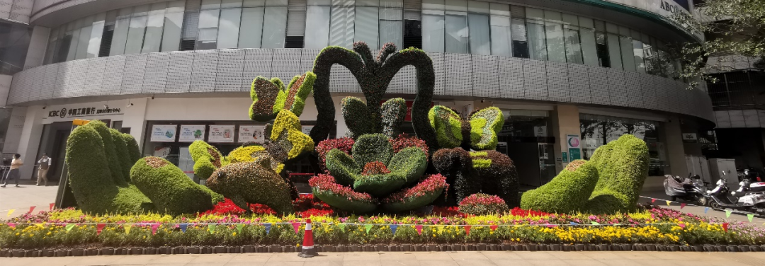 喜迎国庆cop15昆明百组立体花坛惊艳亮相