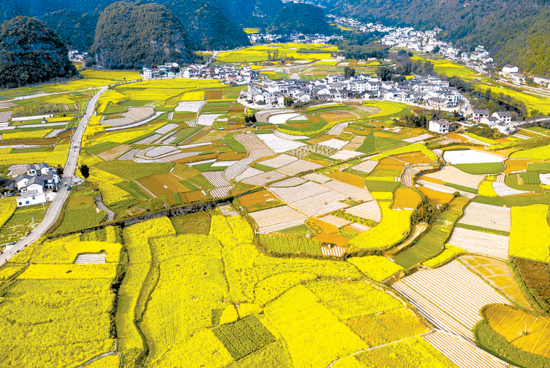 乡村建设如何帮助农村展新颜？