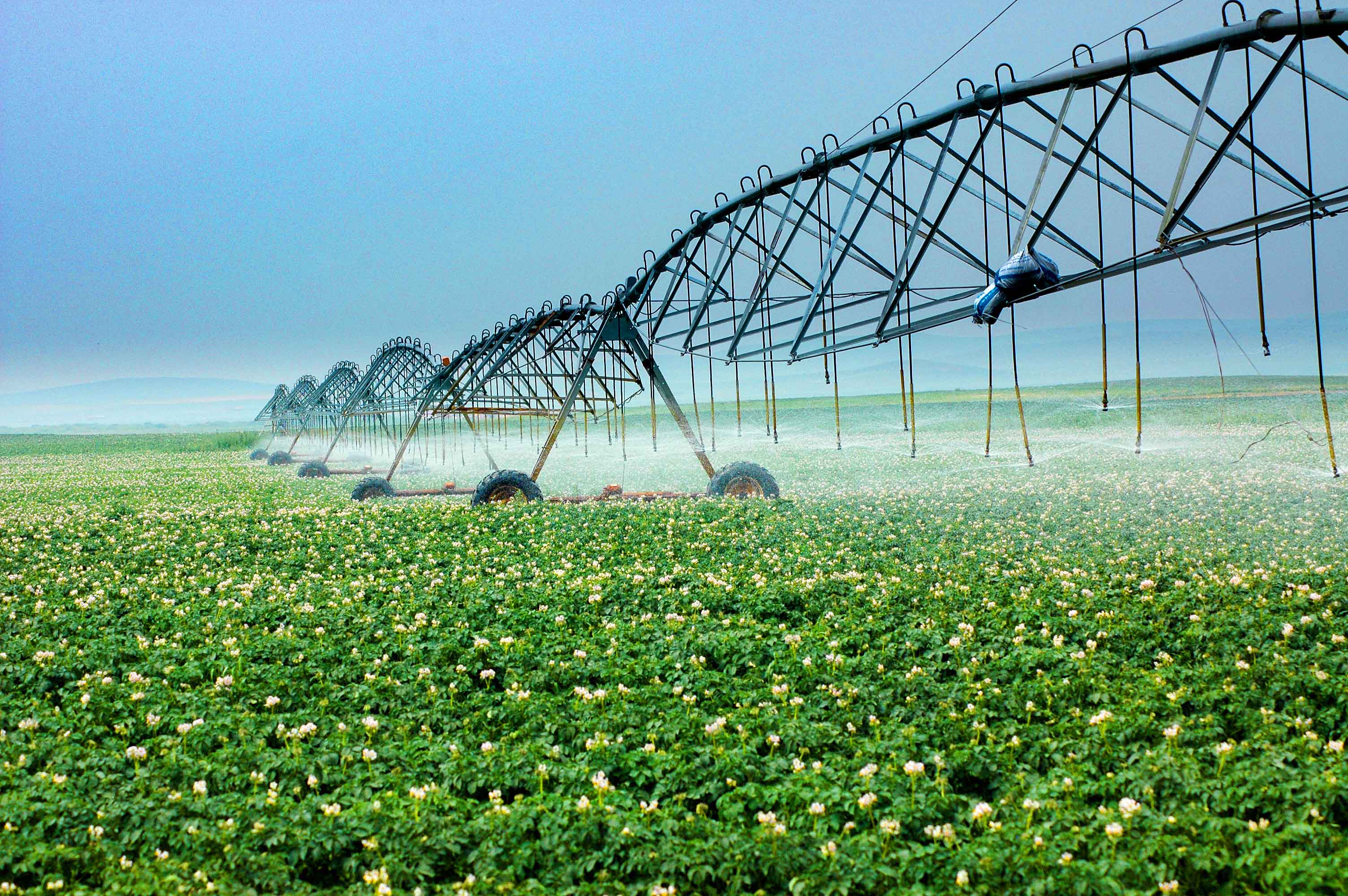 河北省围场县大型喷灌设备浇灌马铃薯.