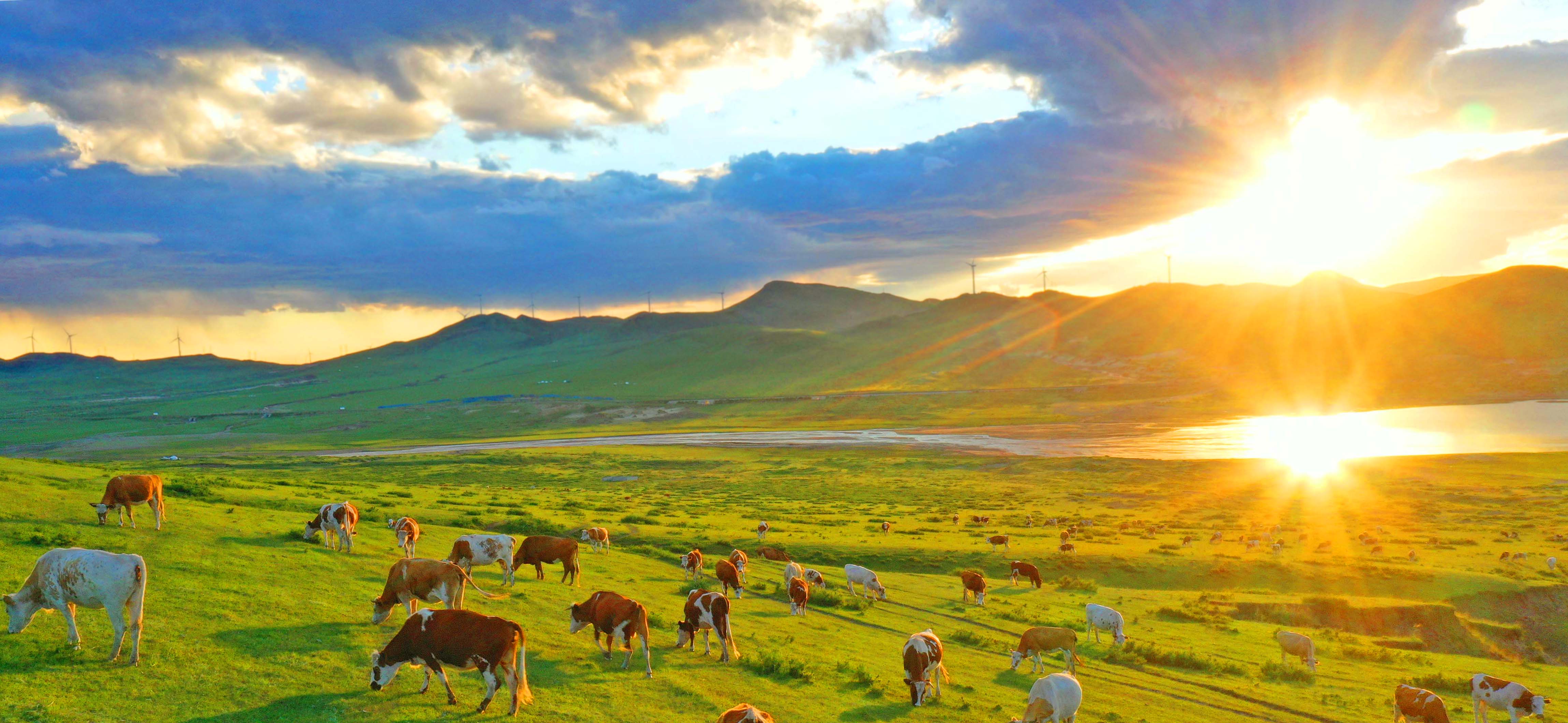 七月旅游去哪里：内蒙古作为大草原的天堂，这些理由让你无法拒绝！_希拉穆仁草原