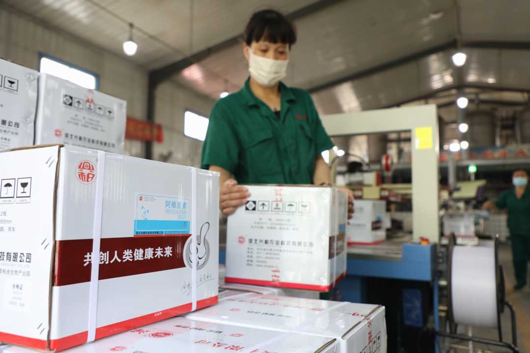 工人正在河北兴柏药业集团阿维菌素生产车间进行打包作业。朱涛 摄.jpg