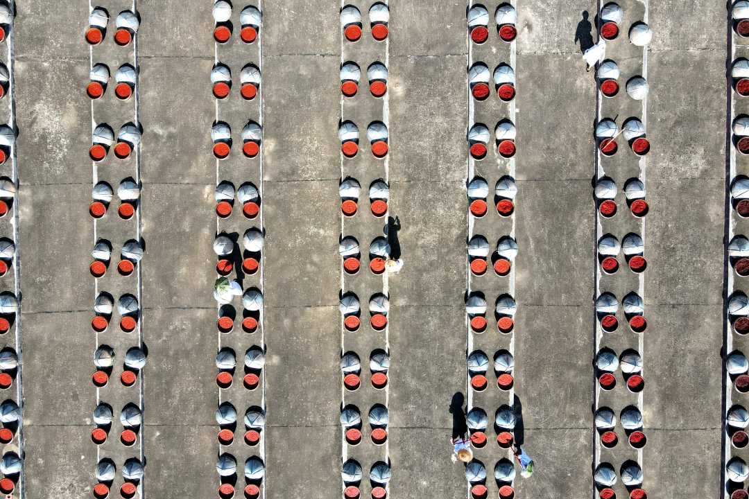 微信图片_20220806170857.jpg