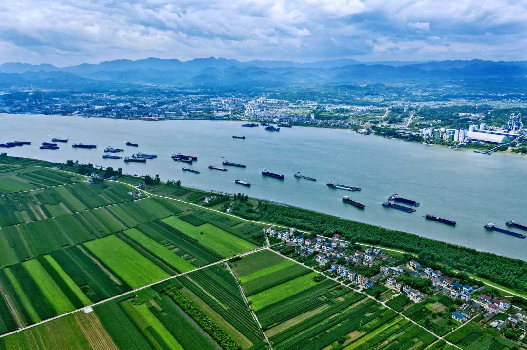 首届内河航运高质量发展论坛在武汉举行