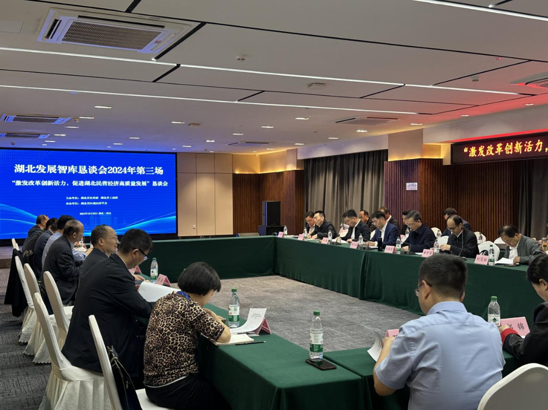 推动民营经济高质量发展!2024湖北发展智库第三场恳谈会举行