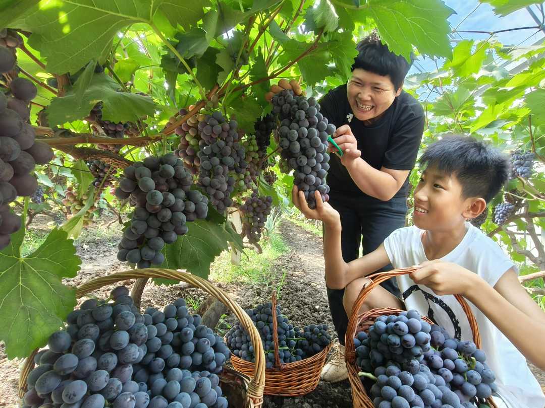 微信图片_20240723182848.jpg