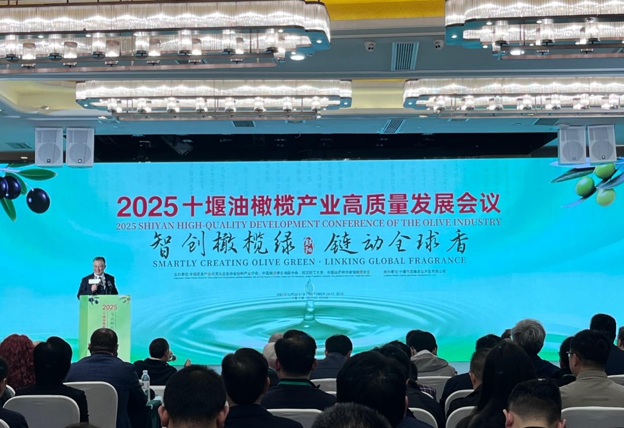 图为会议现场。胡贺雯摄