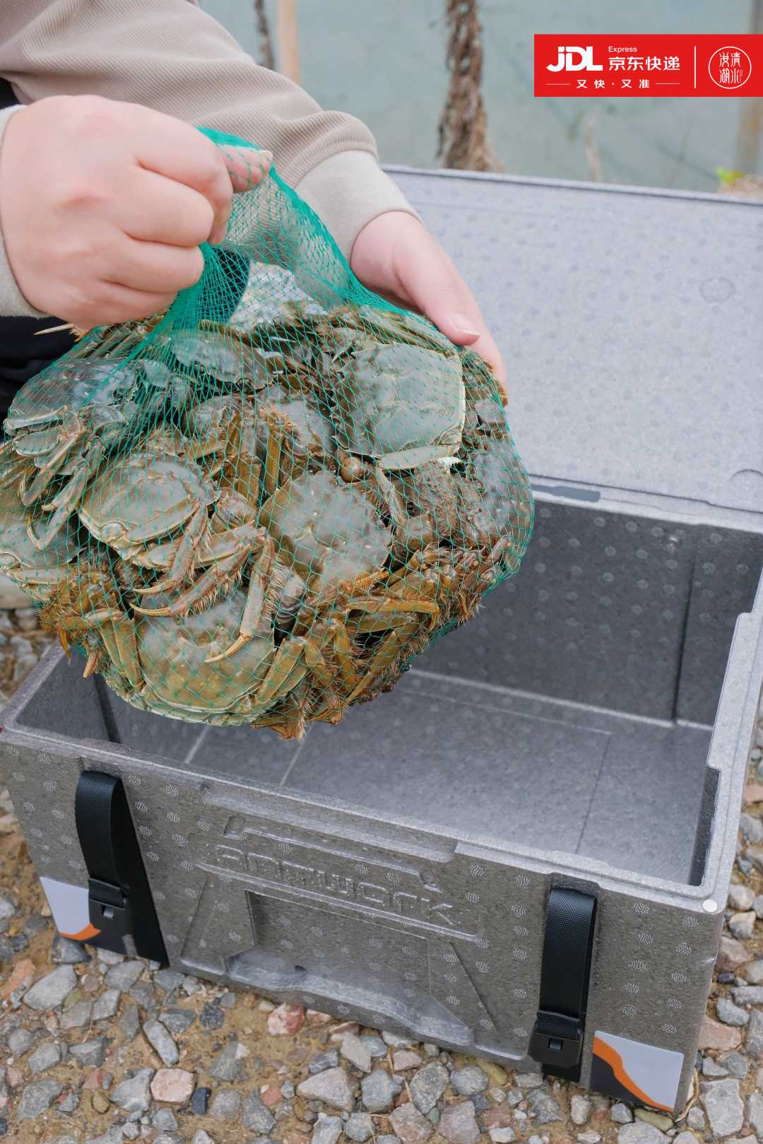 mmexport1762580879299