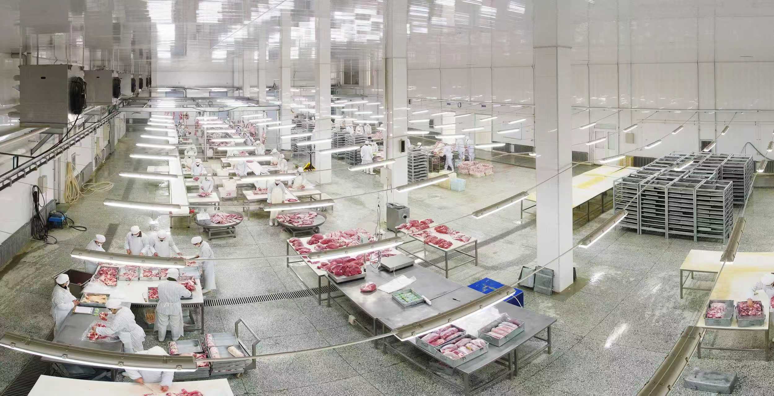 mmexport1763189221586