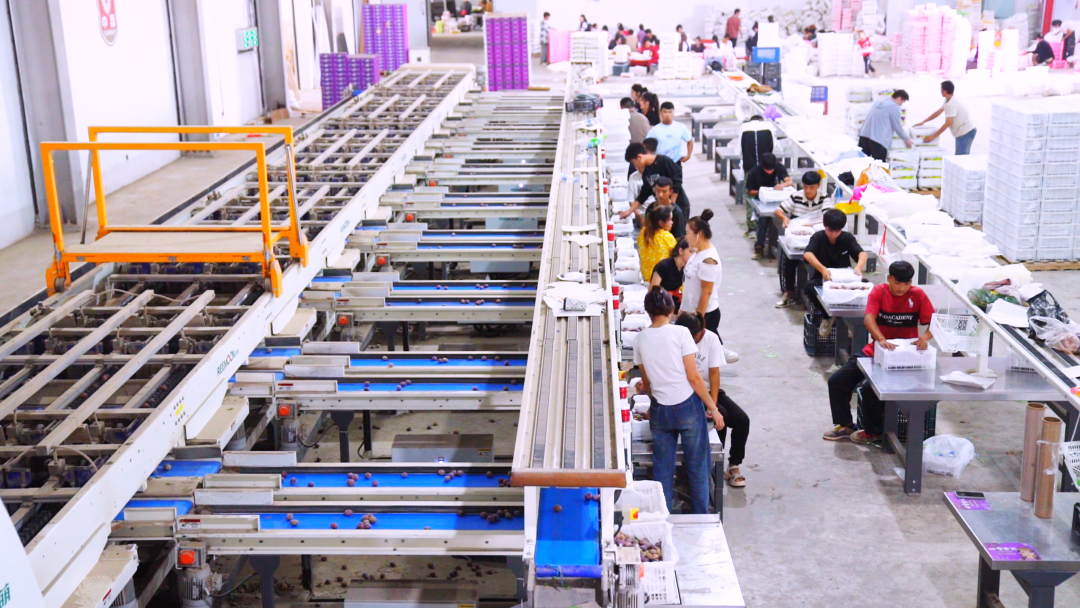 W020250906568690426894.png W020250906568690426894.png