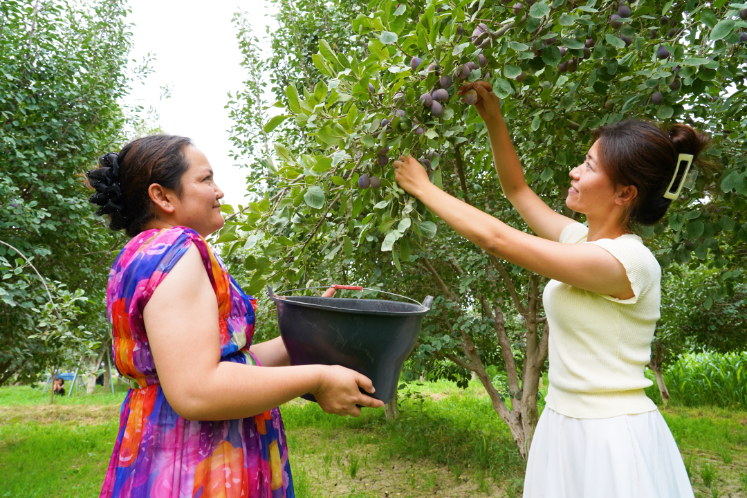 W020250906569936363885.png W020250906569936363885.png