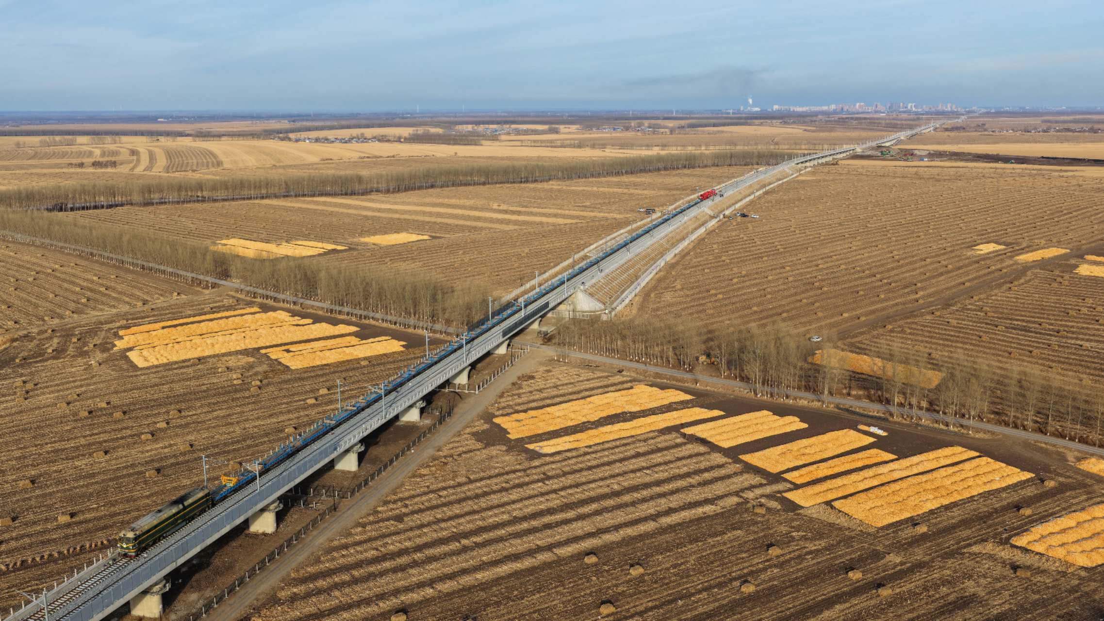 mmexport1764067575908