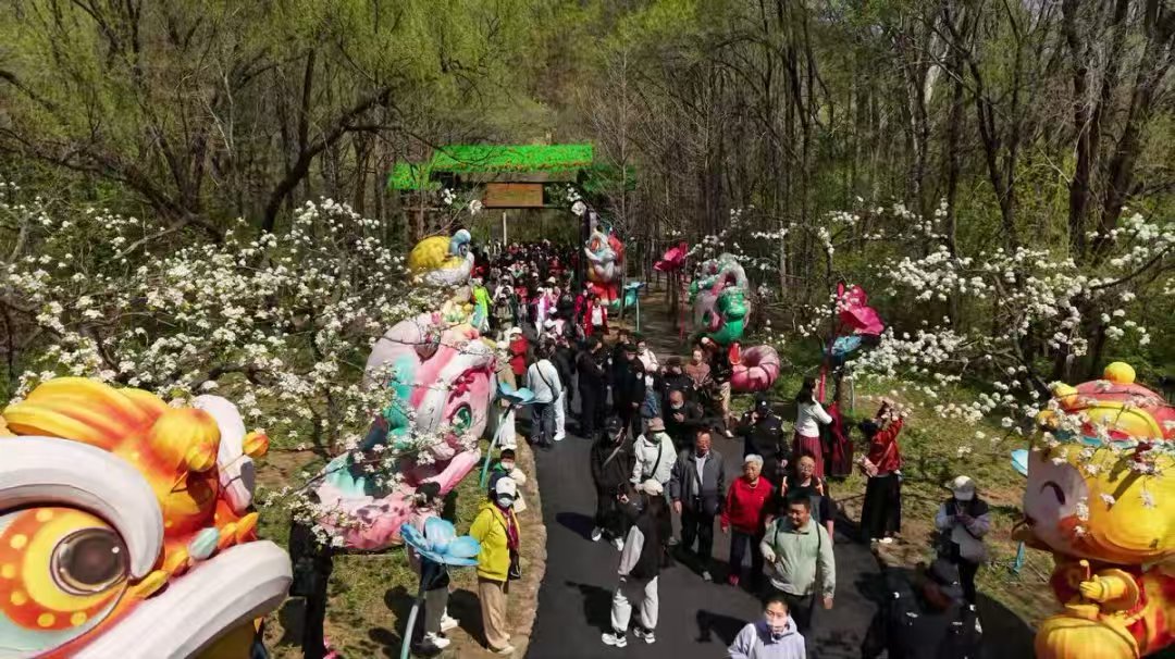 mmexport1748084742307.jpg mmexport1748084742307.jpg