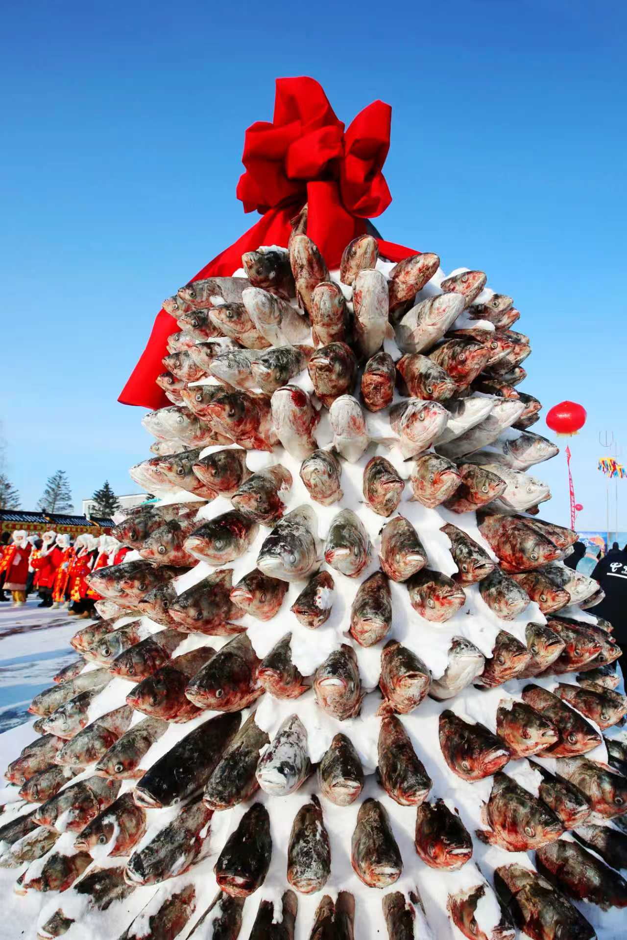 mmexport1768055566164