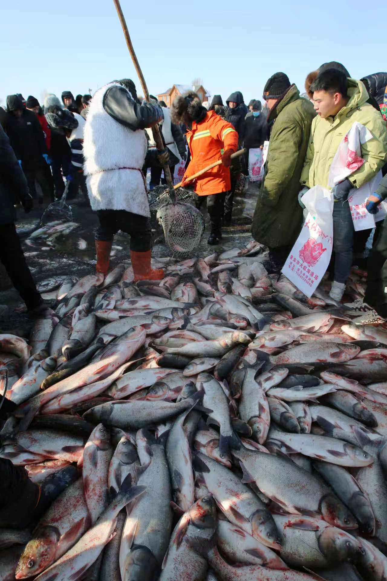 mmexport1768055547548