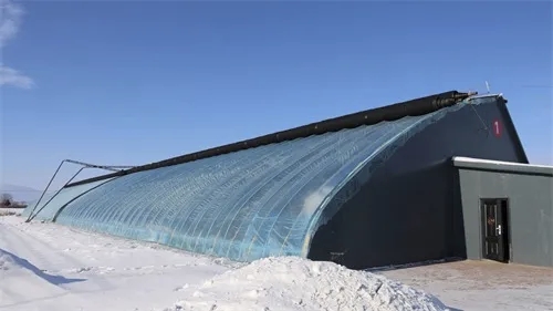 mmexport1770888196380