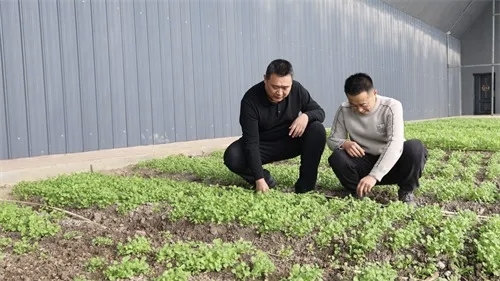 mmexport1770888199195