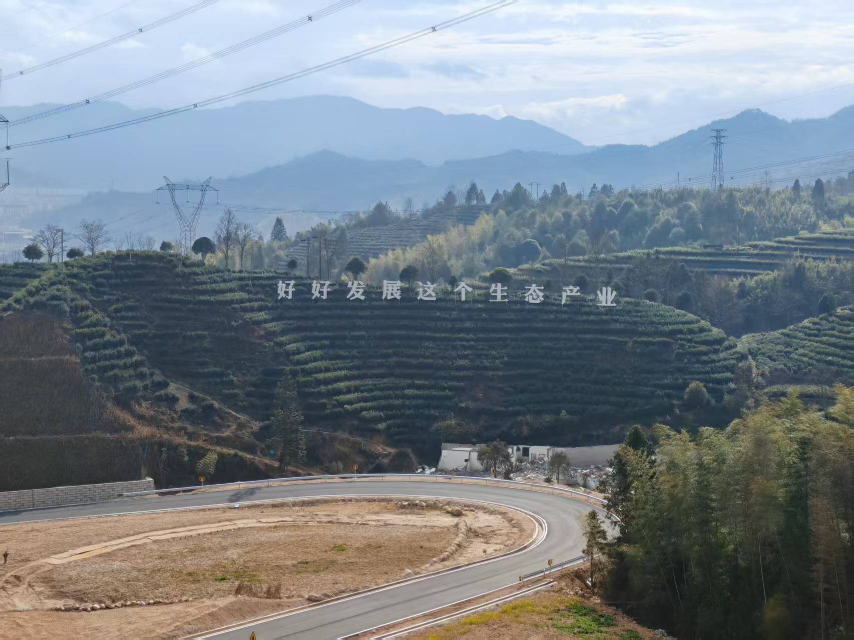 3. 在景宁畲族自治县澄照乡三石村的茶山上，“好好发展这个生态产业”的标语格外醒目。经济日报记者李景摄_proc.jpg
