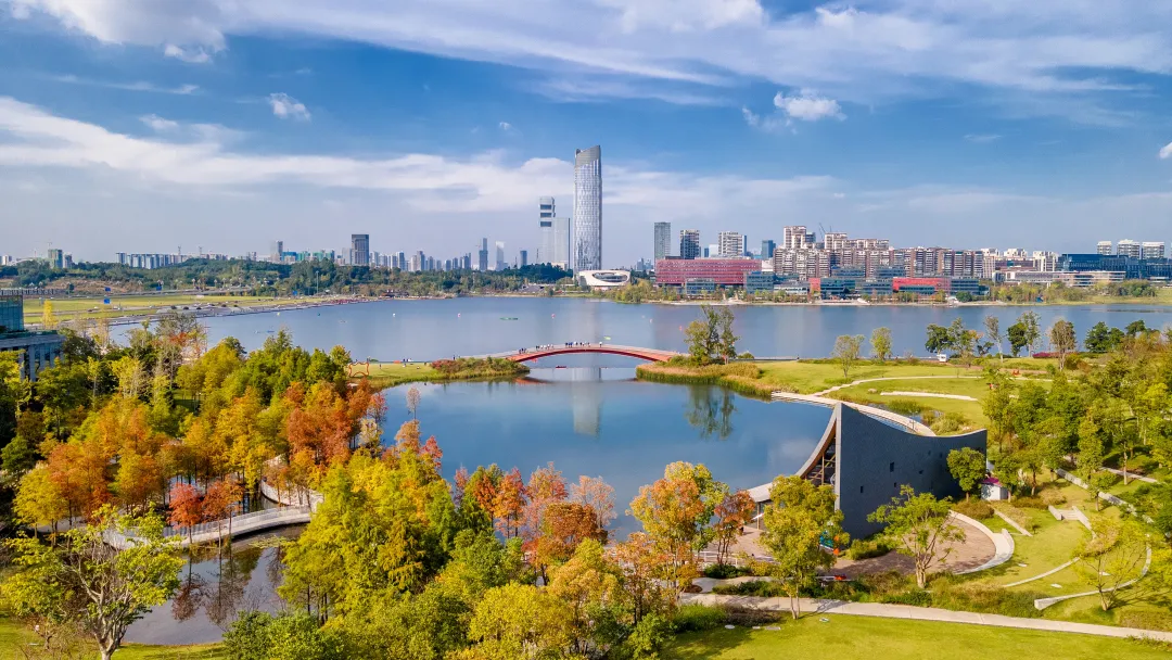 640 (2).webp 640 (2).webp