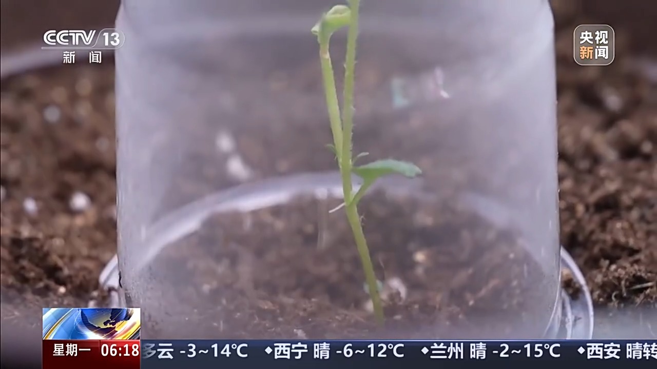 太空1.jpeg 太空1.jpeg