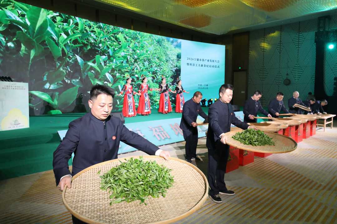 mmexport1774011865177