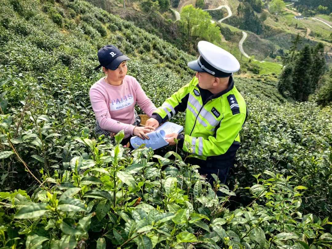 十堰市竹溪警方向茶农宣讲春耕安全防范知识。