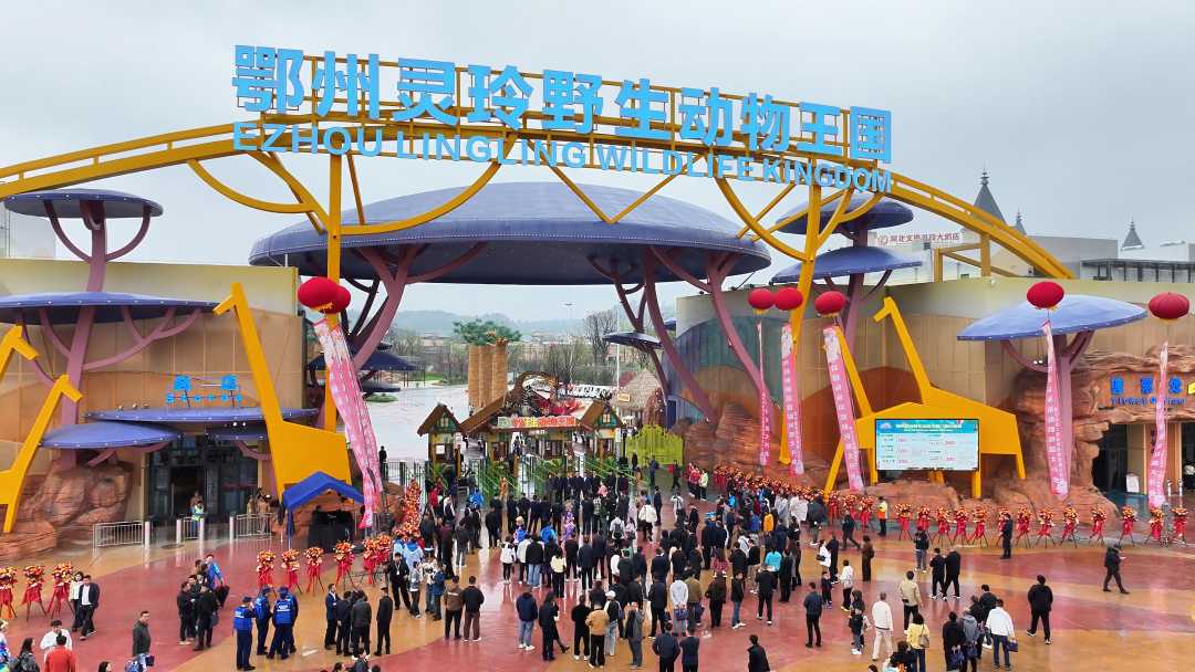 mmexport1774925344976