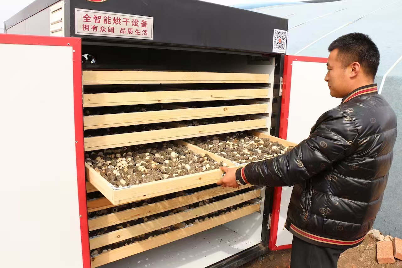 微信图片_20260410115157.jpg 微信图片_20260410115157.jpg