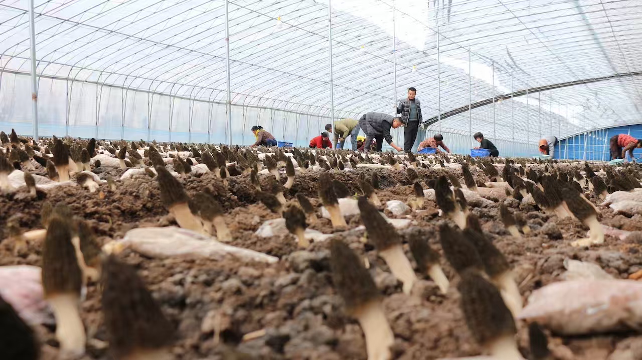 微信图片_20260410120042.jpg 微信图片_20260410120042.jpg