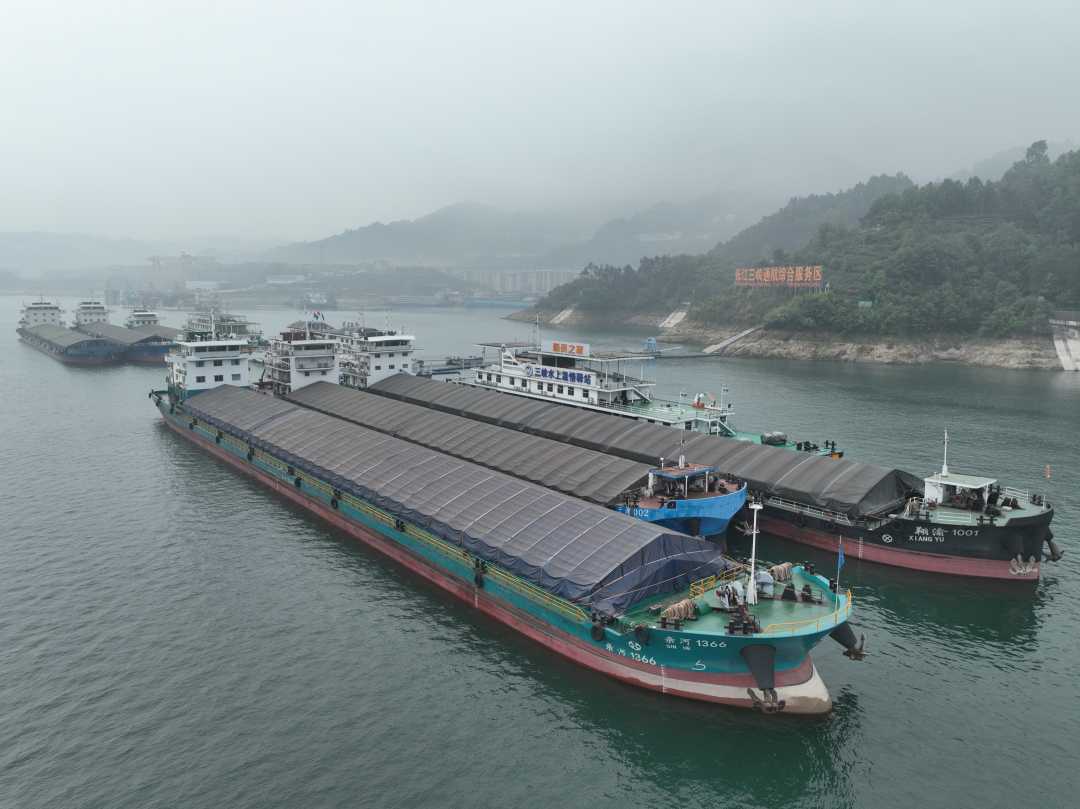 mmexport1776407968266