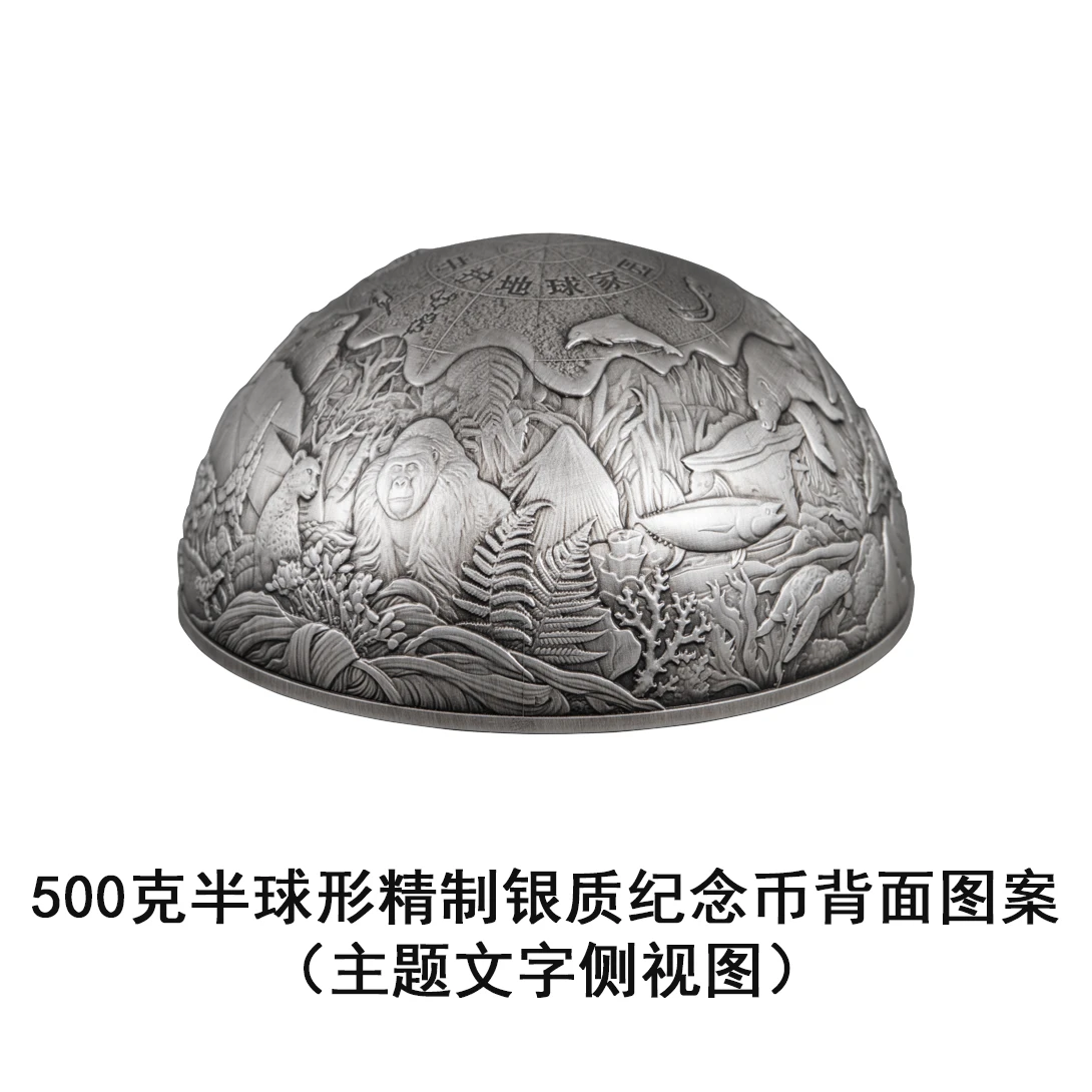 mmexport1777021684228