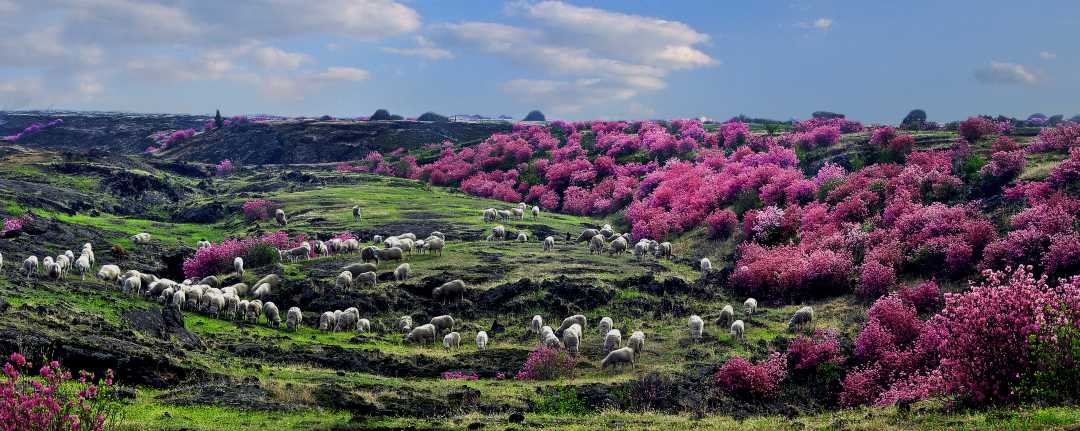 mmexport1777022220075