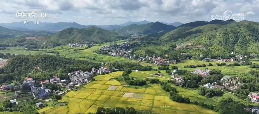 微信图片_20260403211653_461_3.png 微信图片_20260403211653_461_3.png