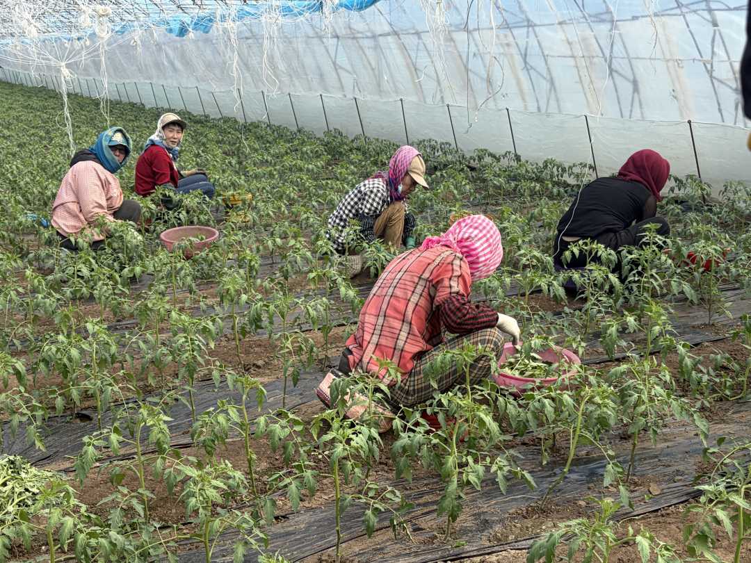 mmexport1775698718412