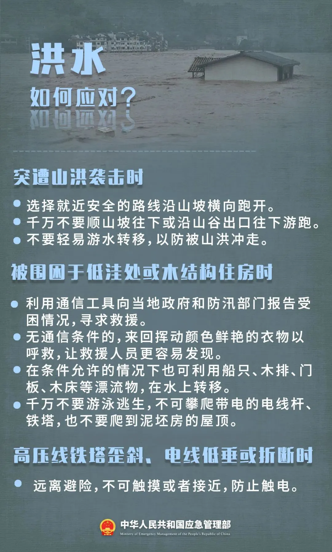 77.webp