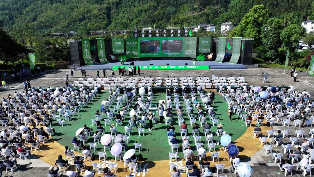 2026抹茶大会现场