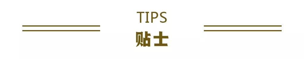 贴士.png