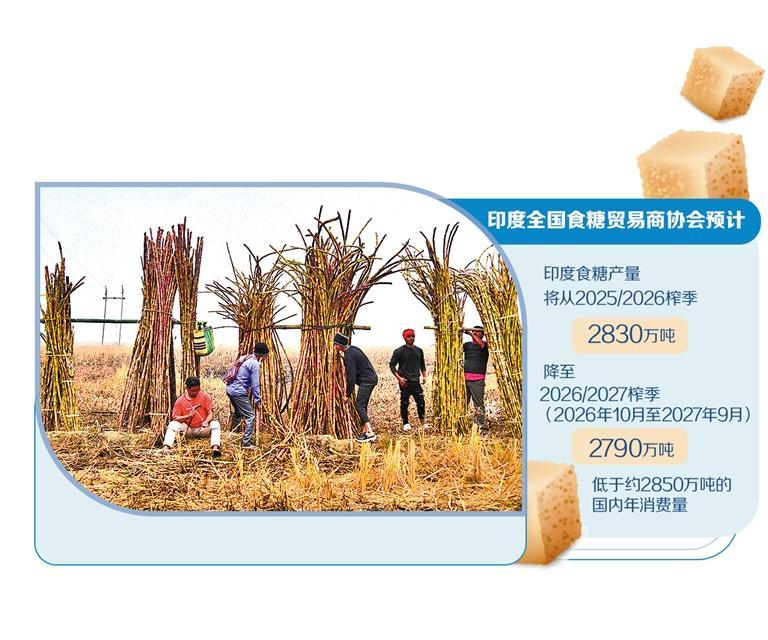 印度.JPG
