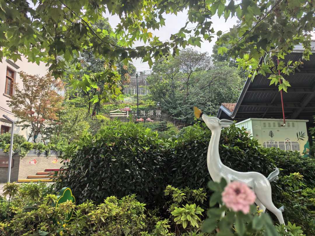 微信图片_20260914205743_1692_362.jpg