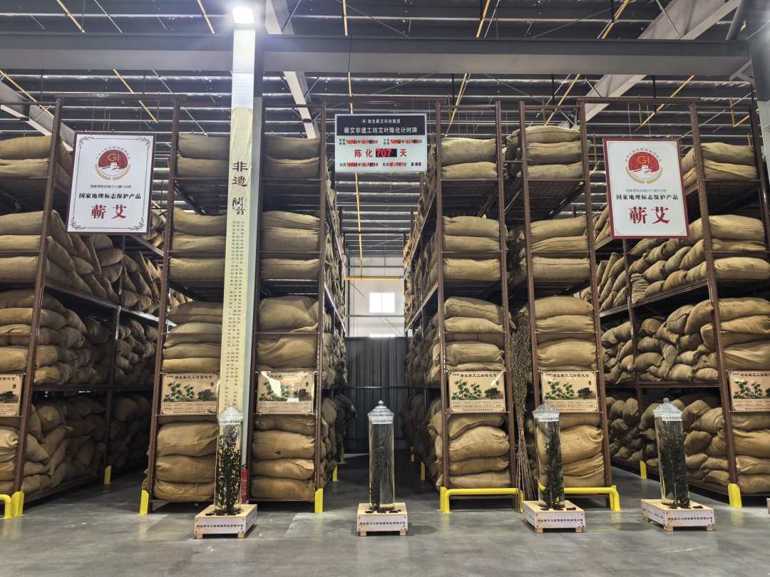 蕲春县国家现代农业产业园万吨蕲艾陈化仓库。（经济日报记者 柳洁摄）.jpg