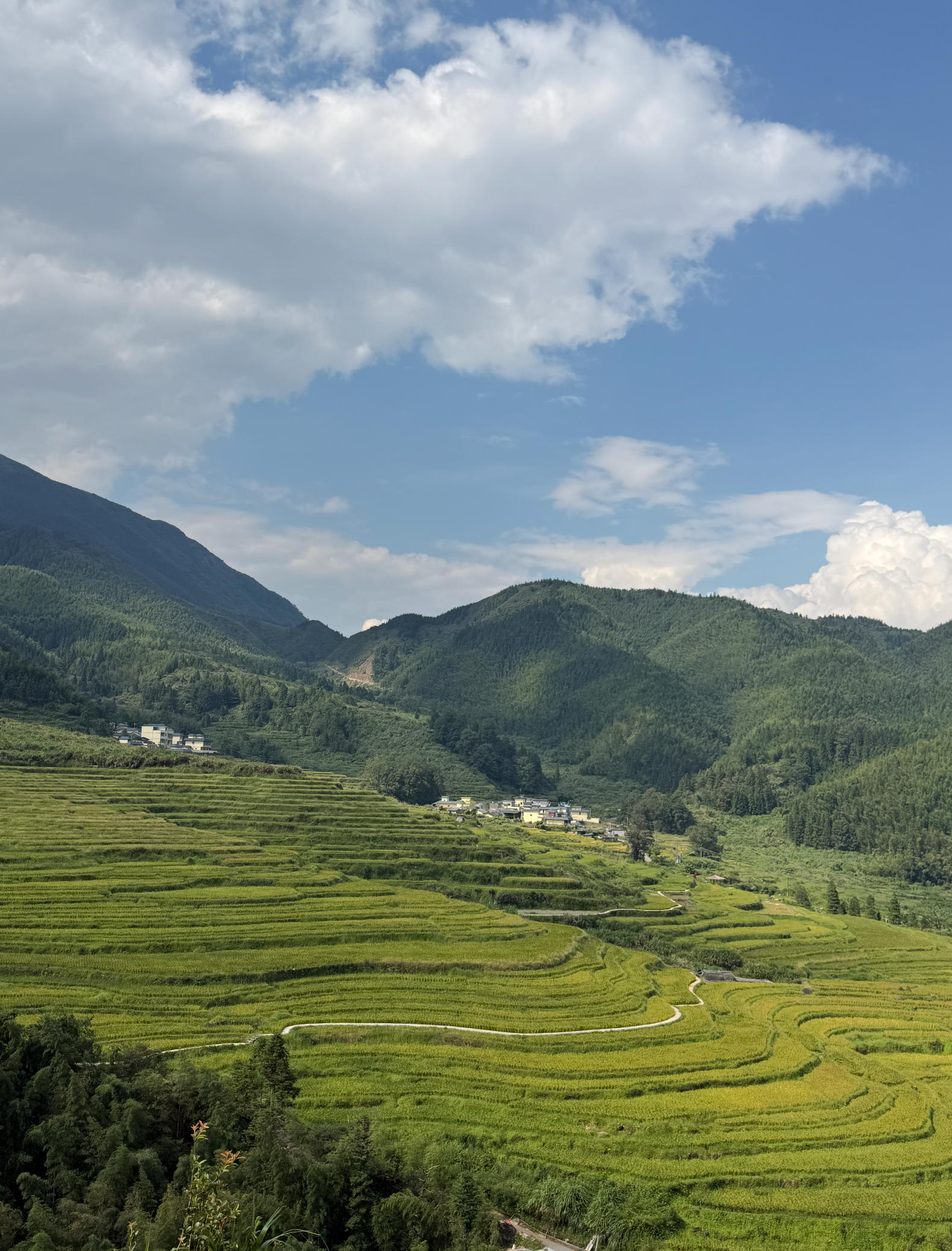 梯田2.jpg