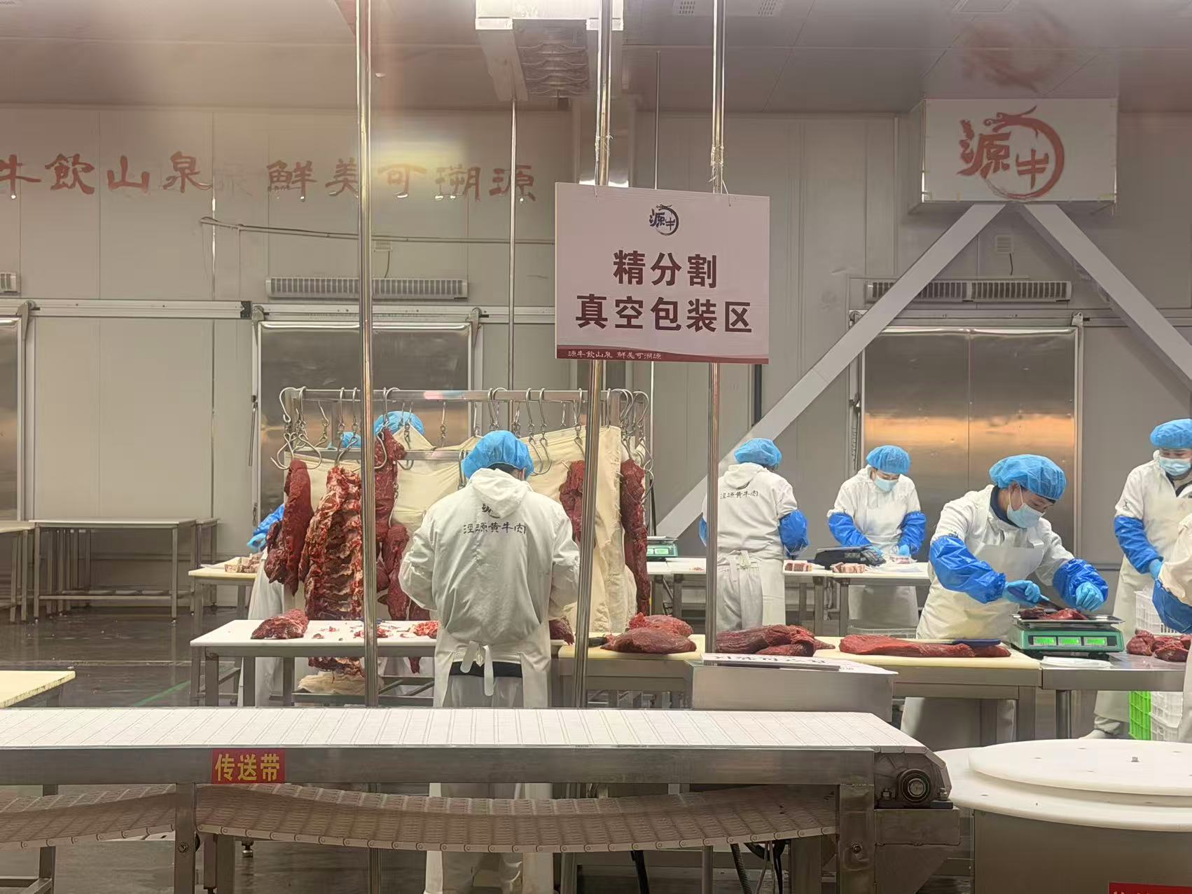 肉牛3.jpg