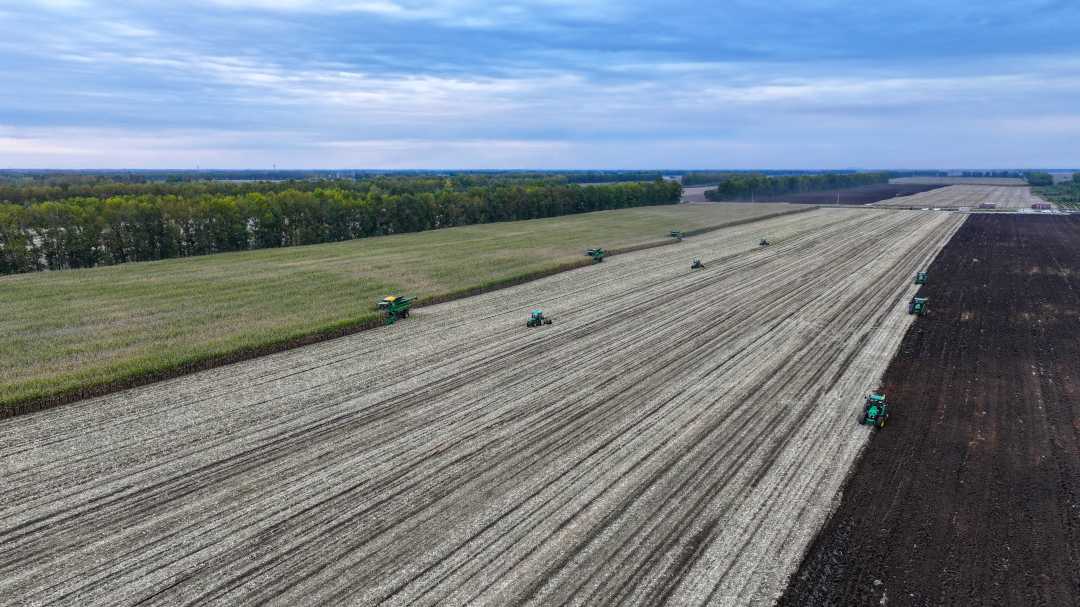 DJI_20260926162234_0033_D_edit_906425994273144