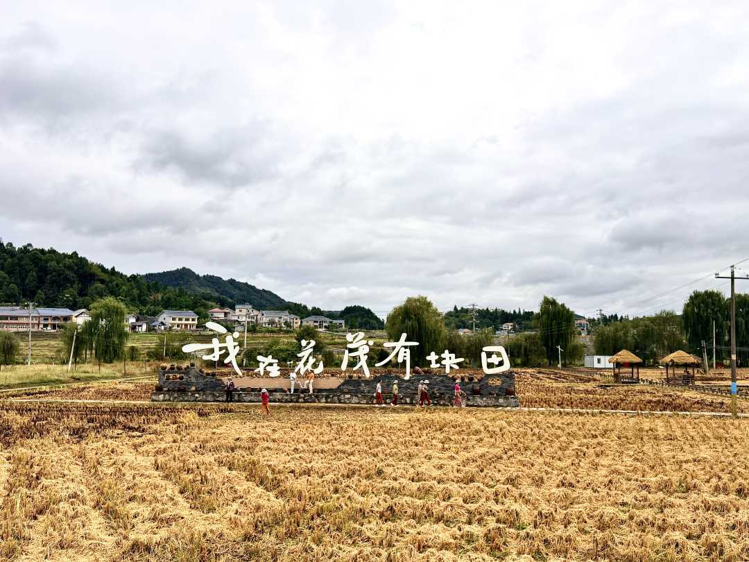 长征图1.jpg
