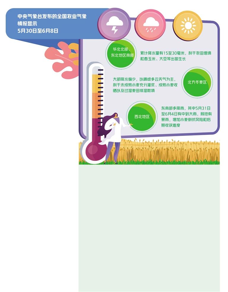 河南全力抢收夏粮